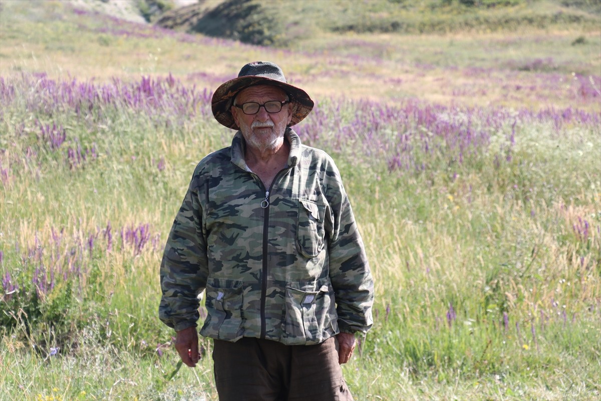 Erzurum'da, kovanlarının bulunduğu Güzelova Yaylası'nda, kovanlarının bulunduğu bölgedeki evinde...