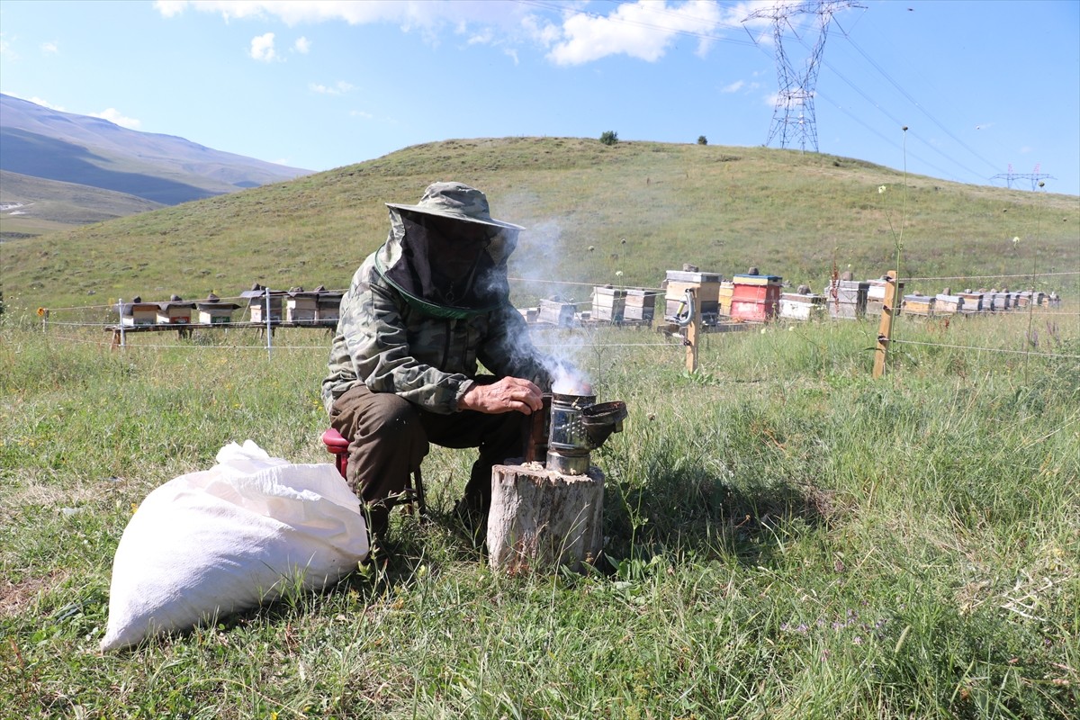 Erzurum'da, kovanlarının bulunduğu Güzelova Yaylası'nda, kovanlarının bulunduğu bölgedeki evinde...
