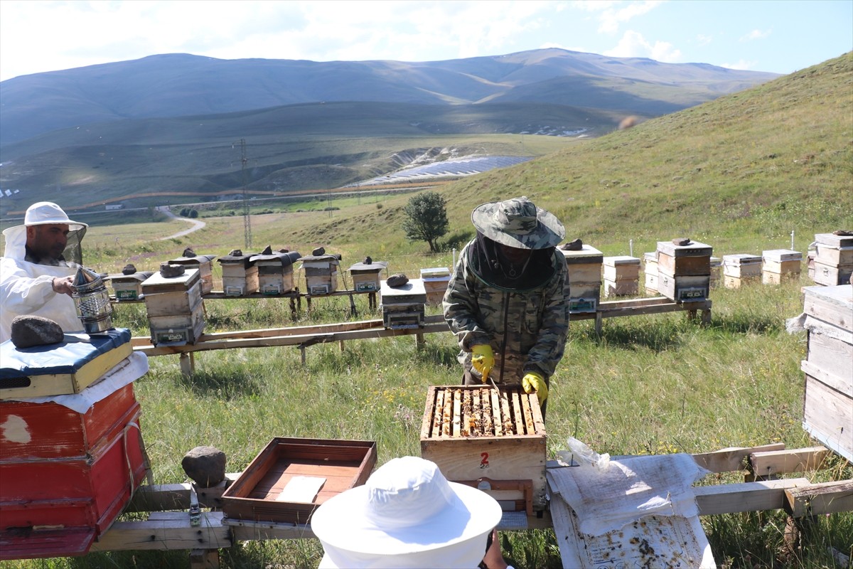 Erzurum'da, kovanlarının bulunduğu Güzelova Yaylası'nda, kovanlarının bulunduğu bölgedeki evinde...