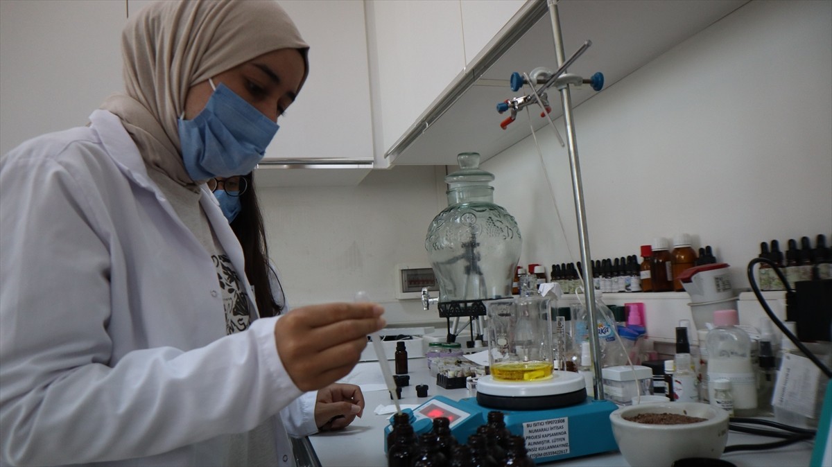 Iğdır Üniversitesi laboratuvarlarında yöreden yetişen tarımsal ve endemik türler ile Ağır Dağı...