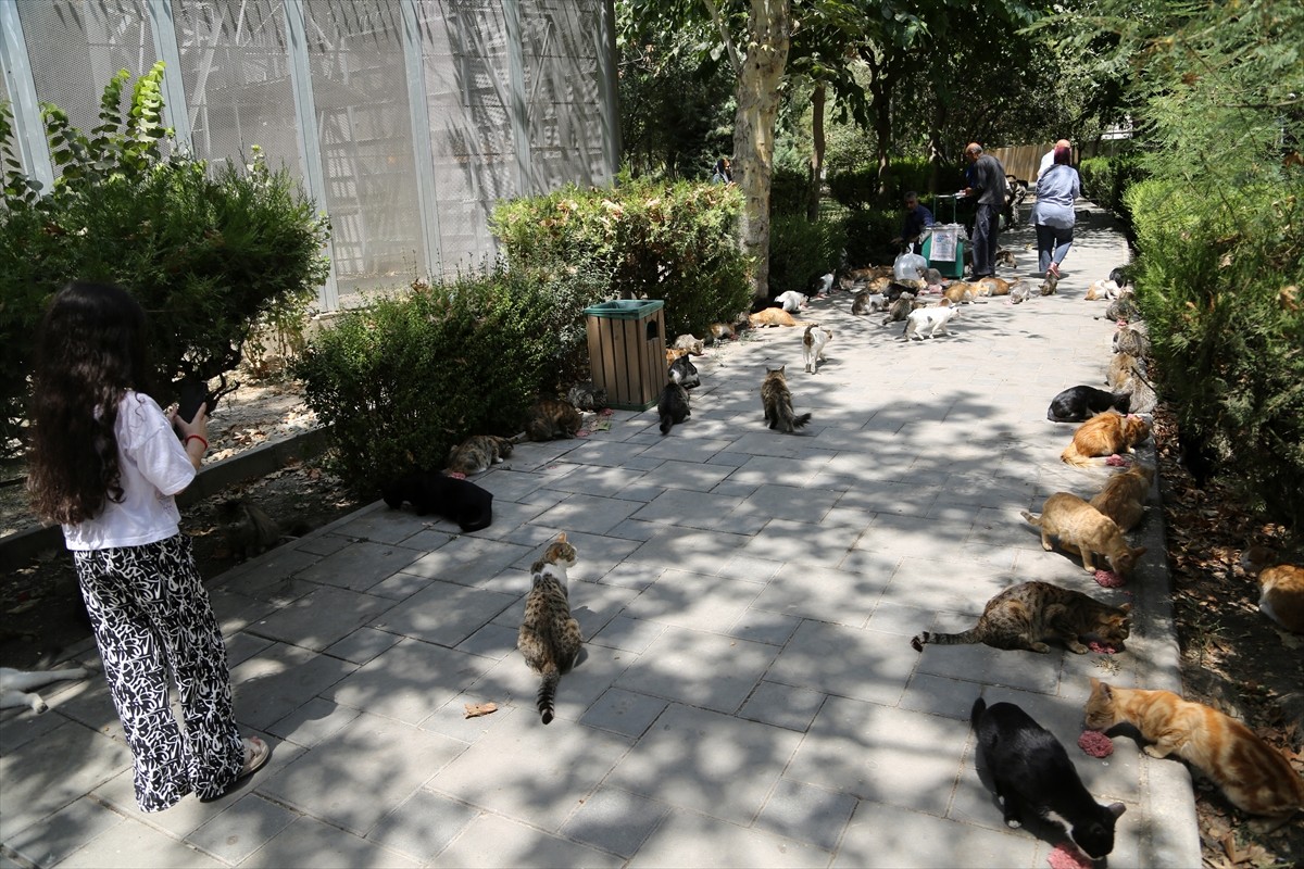 İran’ın başkenti Tahran’ın merkezinde yer alan kentin en eski ve en büyük parklarından Lale Parkı...