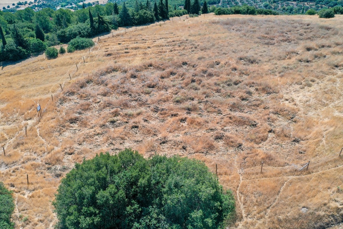 İzmir'de kuraklığın etkilerini azaltmak amacıyla araziye açılan hilal ve baklava şeklindeki...