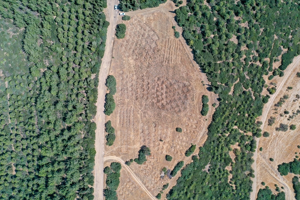 İzmir'de kuraklığın etkilerini azaltmak amacıyla araziye açılan hilal ve baklava şeklindeki...