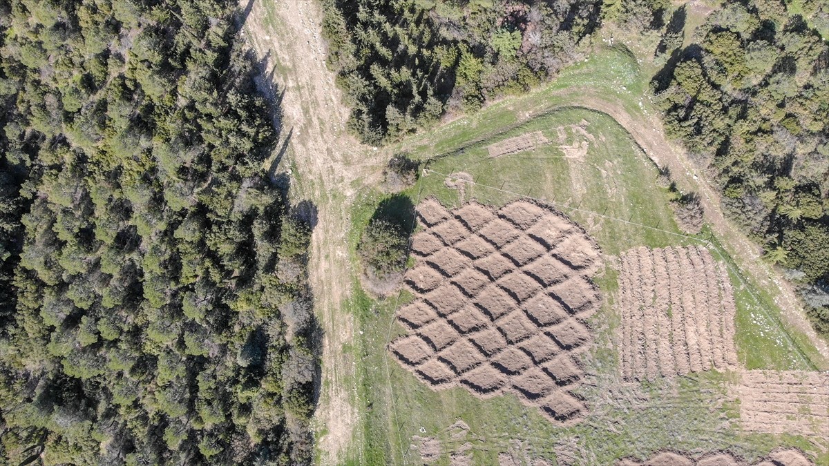 İzmir'de kuraklığın etkilerini azaltmak amacıyla araziye açılan hilal ve baklava şeklindeki...
