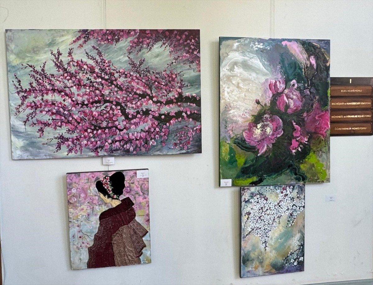 Kadriye Gedik ve Sevkan Hamurcu'nun eserlerinden oluşan "İki Şehrin Rüyası" resim sergisi...