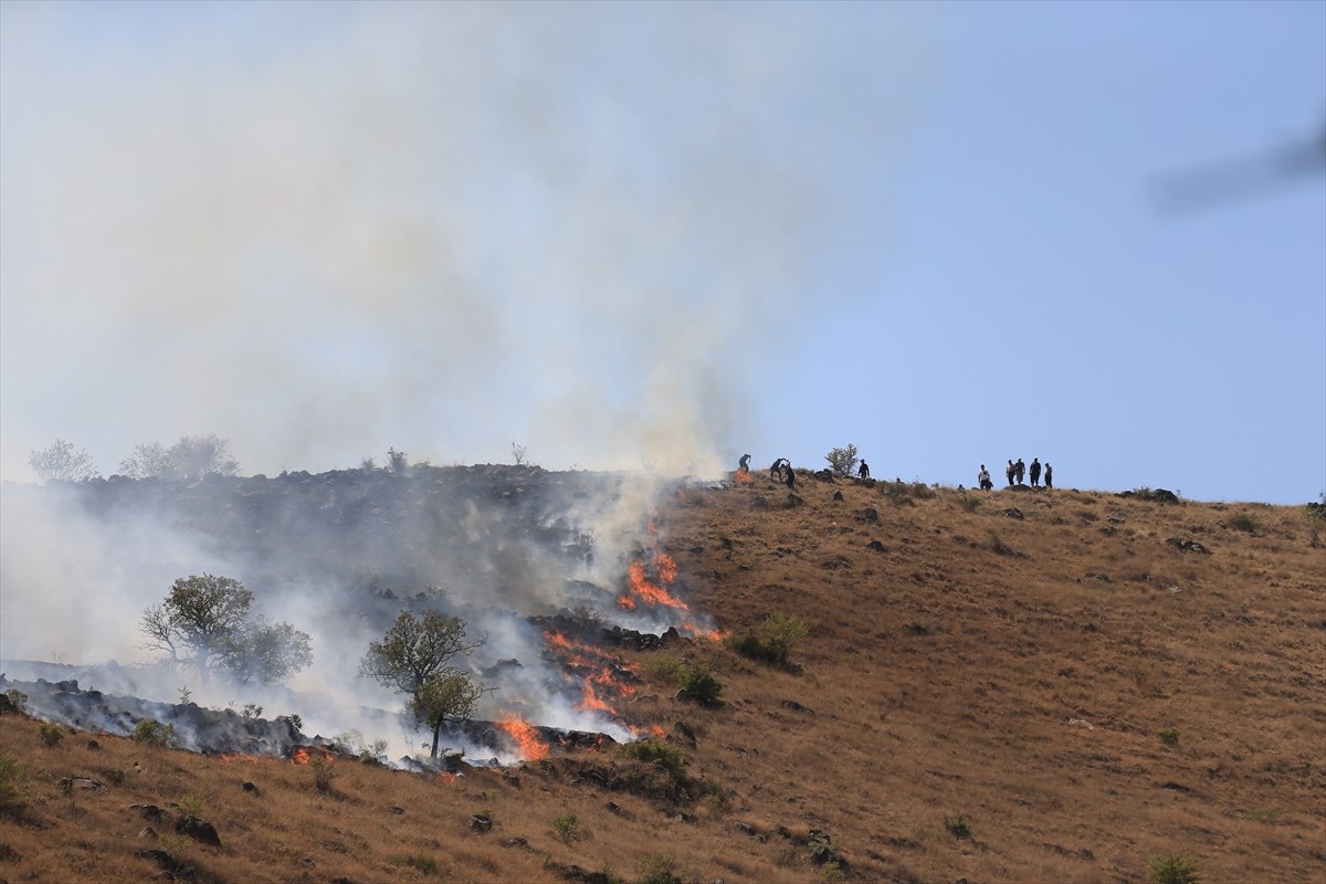 Kayseri'nin merkez Melikgazi ilçesinde Hasan Dağı eteklerinde bulunan otluk alanda çıkan yangına...