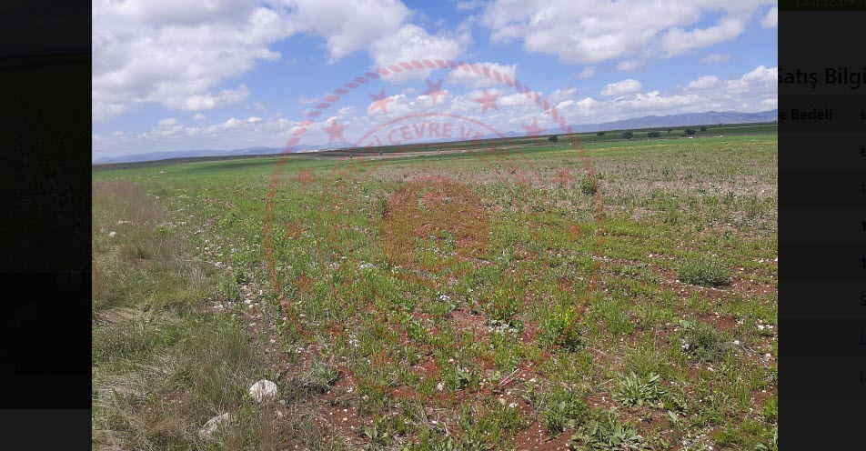 Milli Emlak'tan 14 dönüm arazi 87 bin TL satışa çıkıyor! İşte ihale detaayları