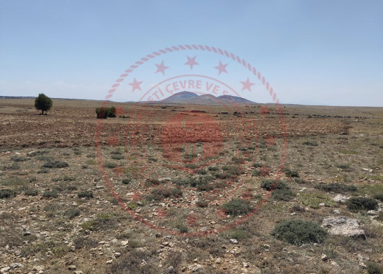 Milli Emlak'tan 15 Bin TL'ye 2.22 Dönüm Arsa Satışta