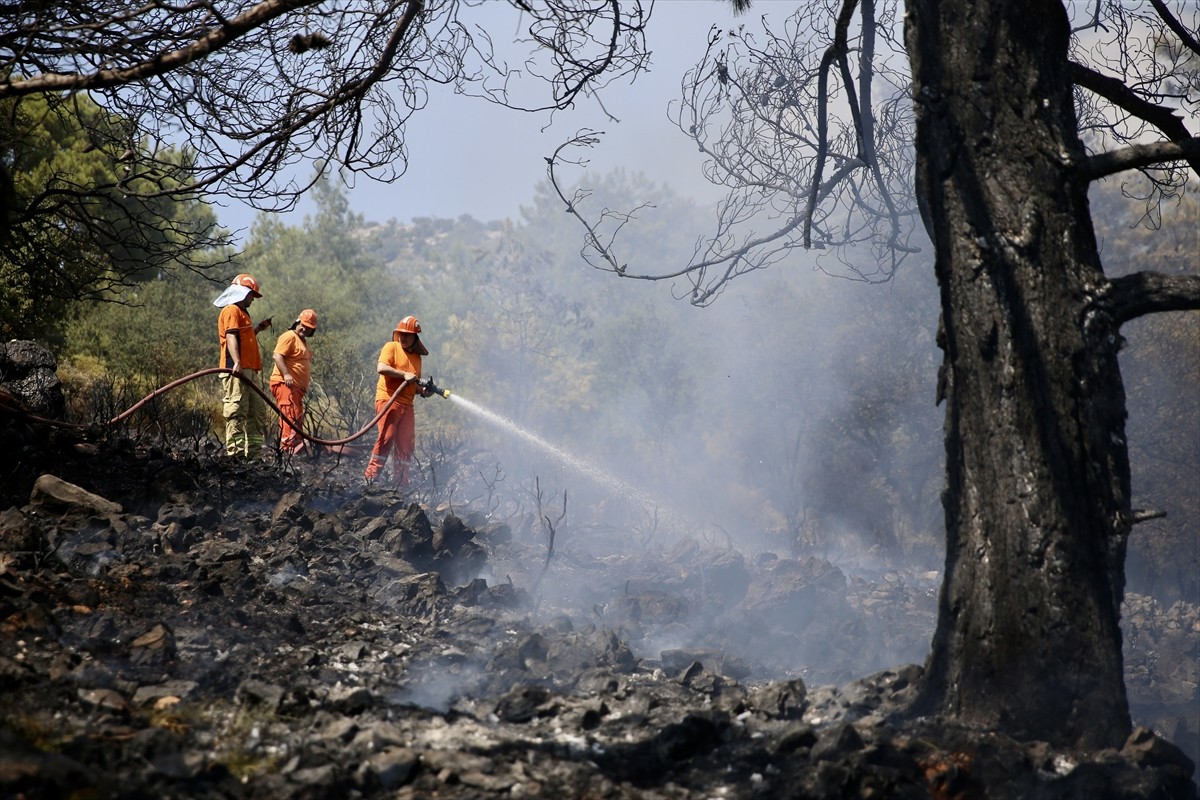 Muğla'nın Fethiye ilçesinde ormanlık alanda çıkan yangın havadan ve karadan müdahaleyle...