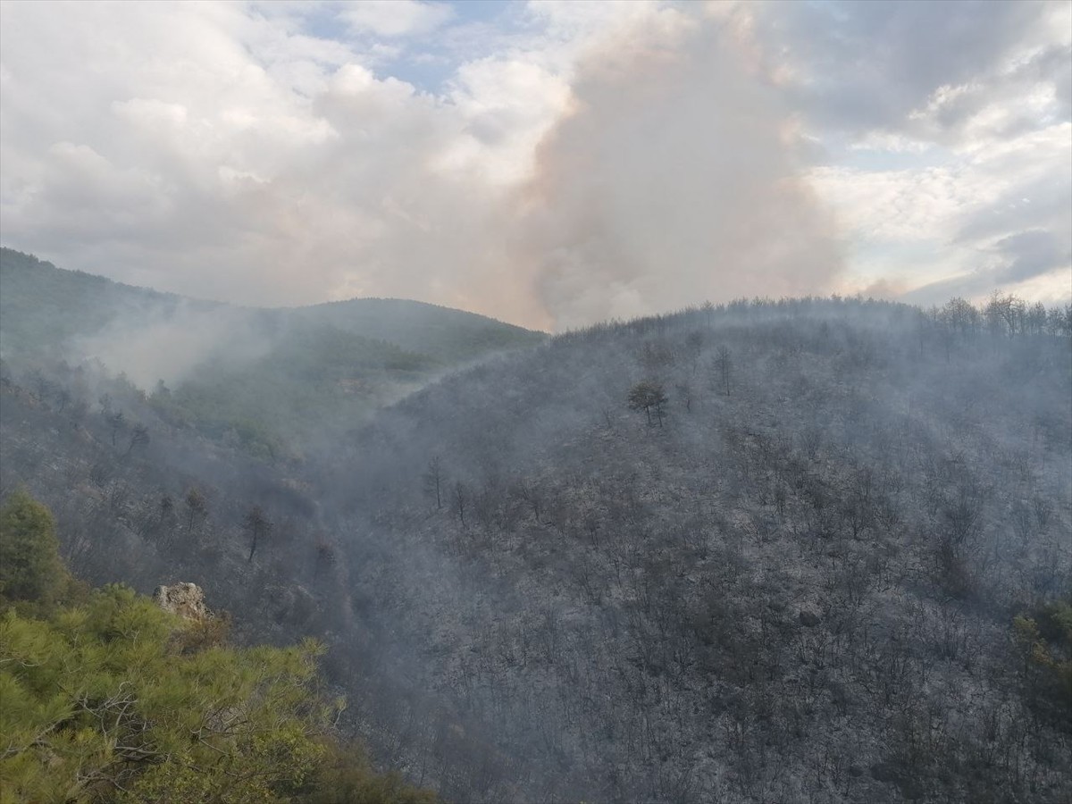 Tokat'ın Erbaa ilçesinde ormanlık alanda çıkan yangının Orman Bölge Müdürlüğü ve itfaiye...