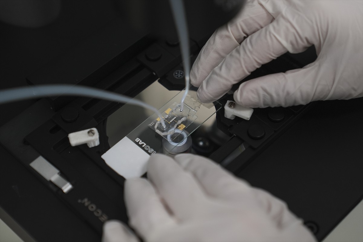 TÜBİTAK desteğiyle ODTÜ Mikro Elektromekanik Sistemler (MEMS) Merkezi liderliğinde 19 üniversite...