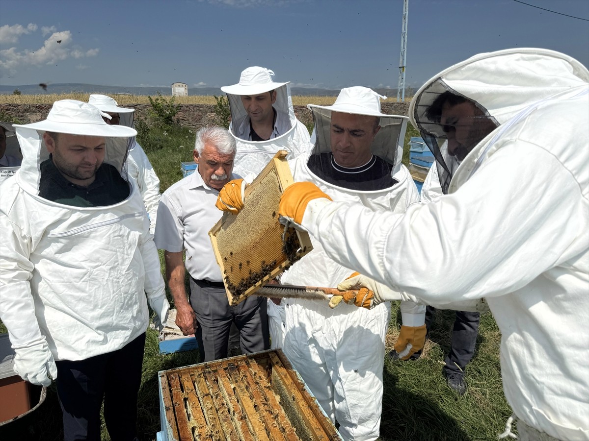 Türk Patent ve Marka Kurumunca coğrafi işaretle tescillenen "Ardahan çiçek balı"nın Kafkas Arısı...