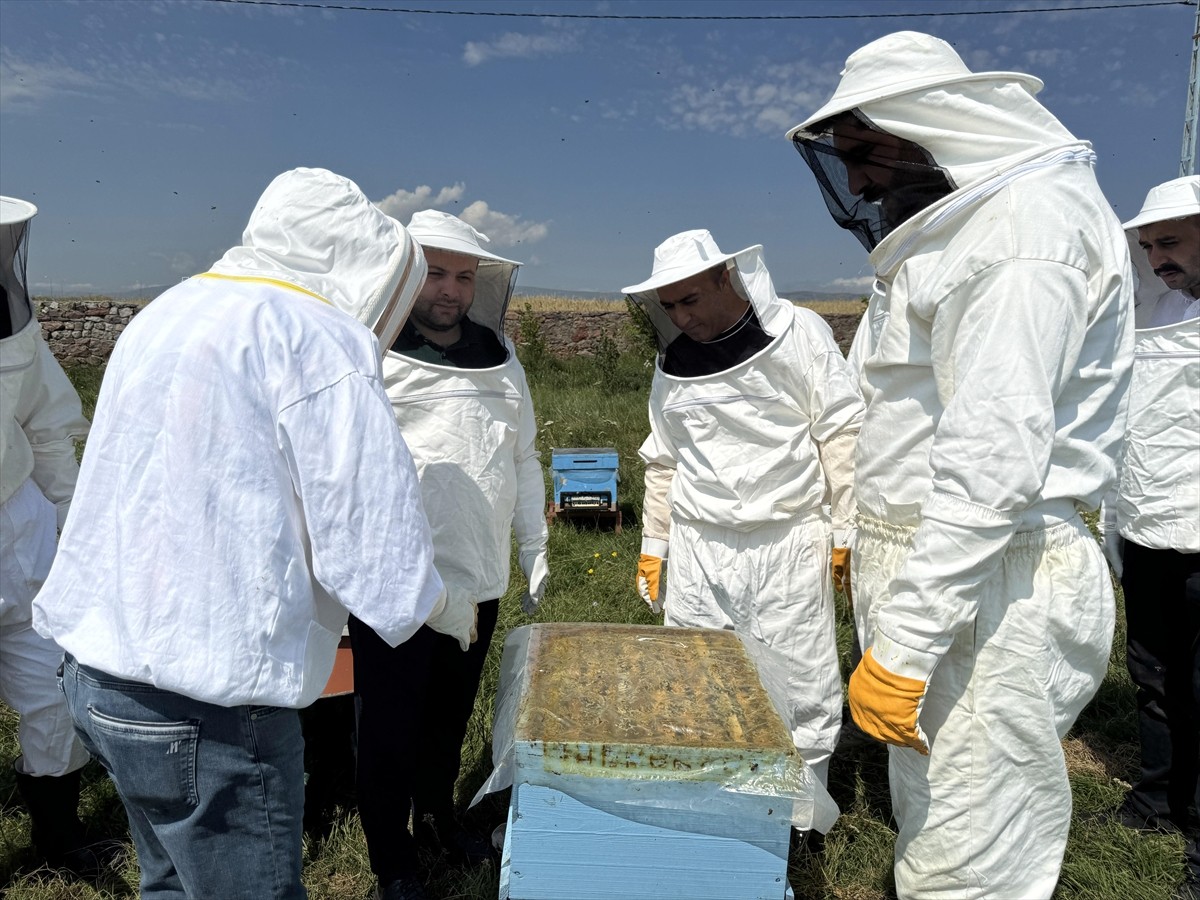 Türk Patent ve Marka Kurumunca coğrafi işaretle tescillenen "Ardahan çiçek balı"nın Kafkas Arısı...