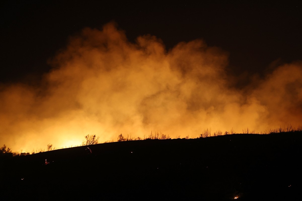 Yunanistan'ın başkenti Atina'nın doğusunda bulunan Varnava bölgesinde bugün öğleden sonra başlayan...
