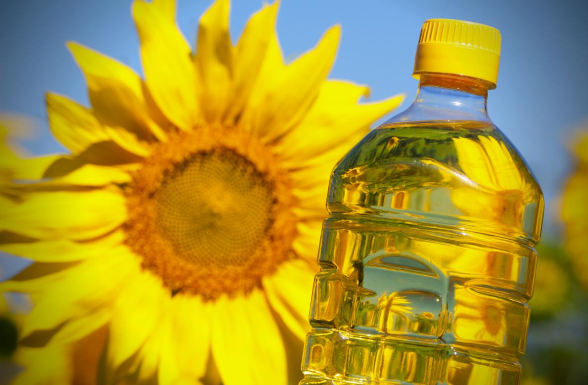 Migros’tan Zeytin ve Zeytinyağı Fiyatlarında Şok İndirim: Orkide Markalı Ürünlerde %50’ye Varan İndirim!