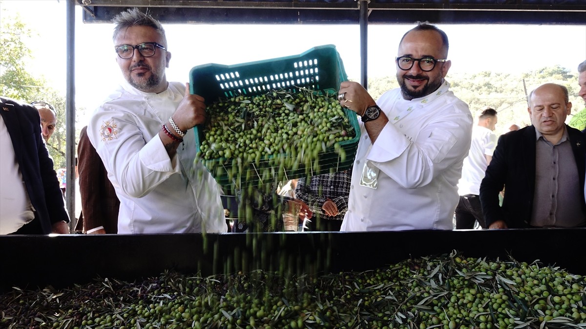 Balıkesir'in Edremit ilçesinde düzenlenen "Edremit Zeytinyağı Tadım Festivali" (Fest Olive...