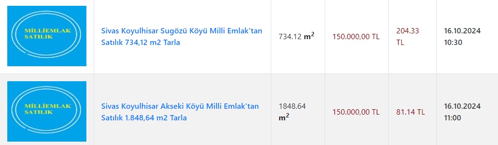 Milli Emlak’tan metrekaresi 204 TL’ye arsa! Saat 10.30’dan önce giden kapıyor