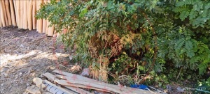 2025'te Milli Emlak İhaleleri: Hakkari'den İzmir'e Yatırım Fırsatları