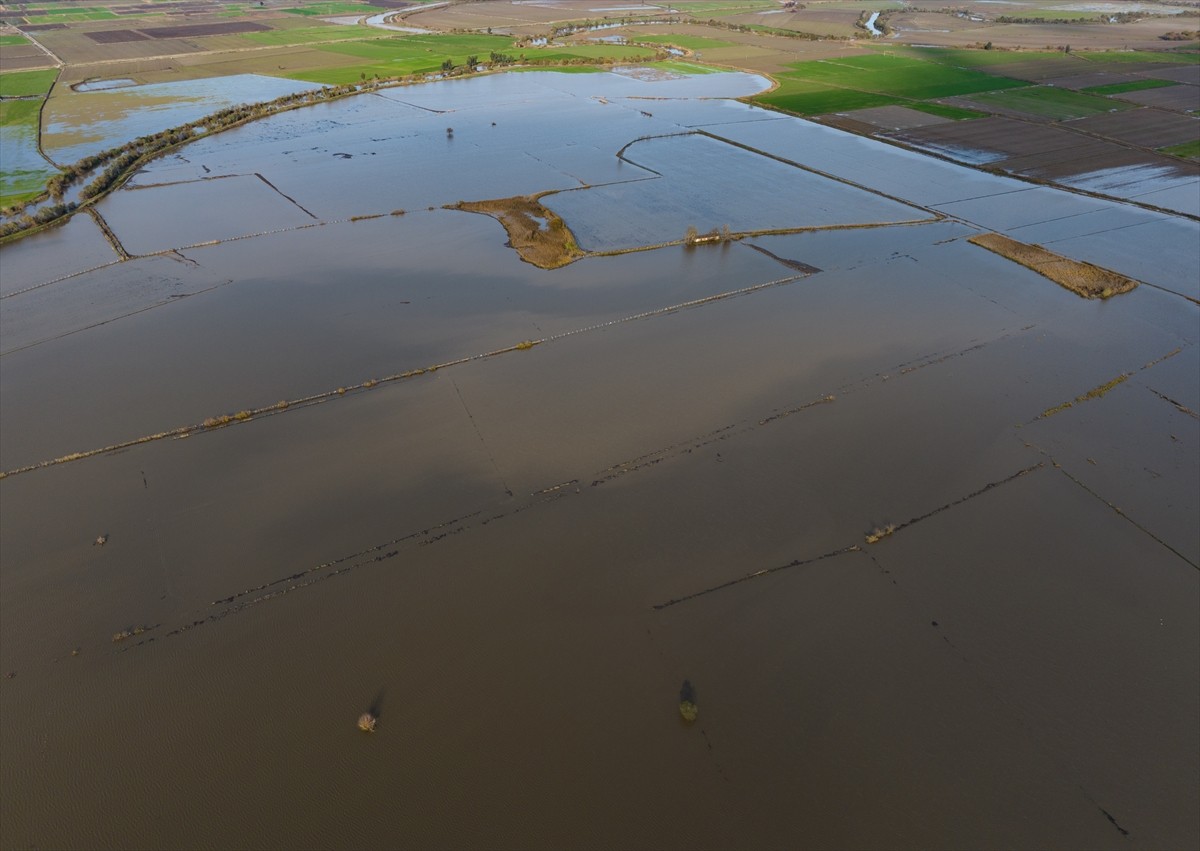 Aydın Ovası'nın sulamasında can damarı olan Büyük Menderes Nehri'nin bazı noktalarında taşkınlar...