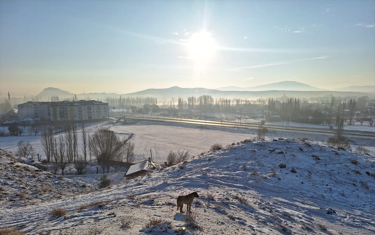 Sivas'ın Hafik ilçesinde soğuk hava ve sis etkili oldu.