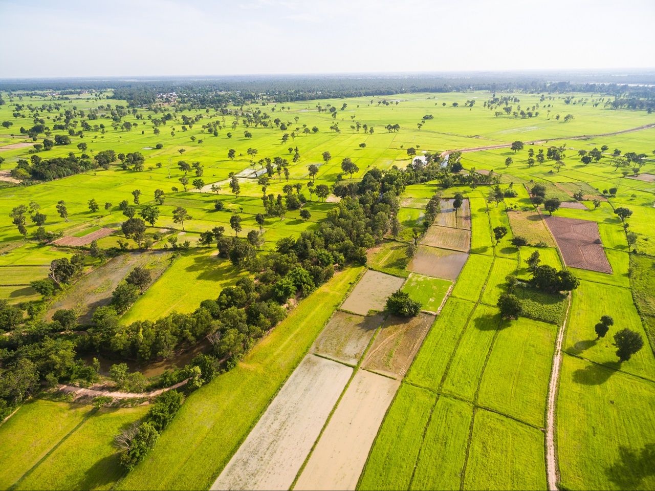 TOKİ'den 90.000 TL'den Başlayan Arsa Satışlarıyla Ev Sahibi Olma Fırsatı!