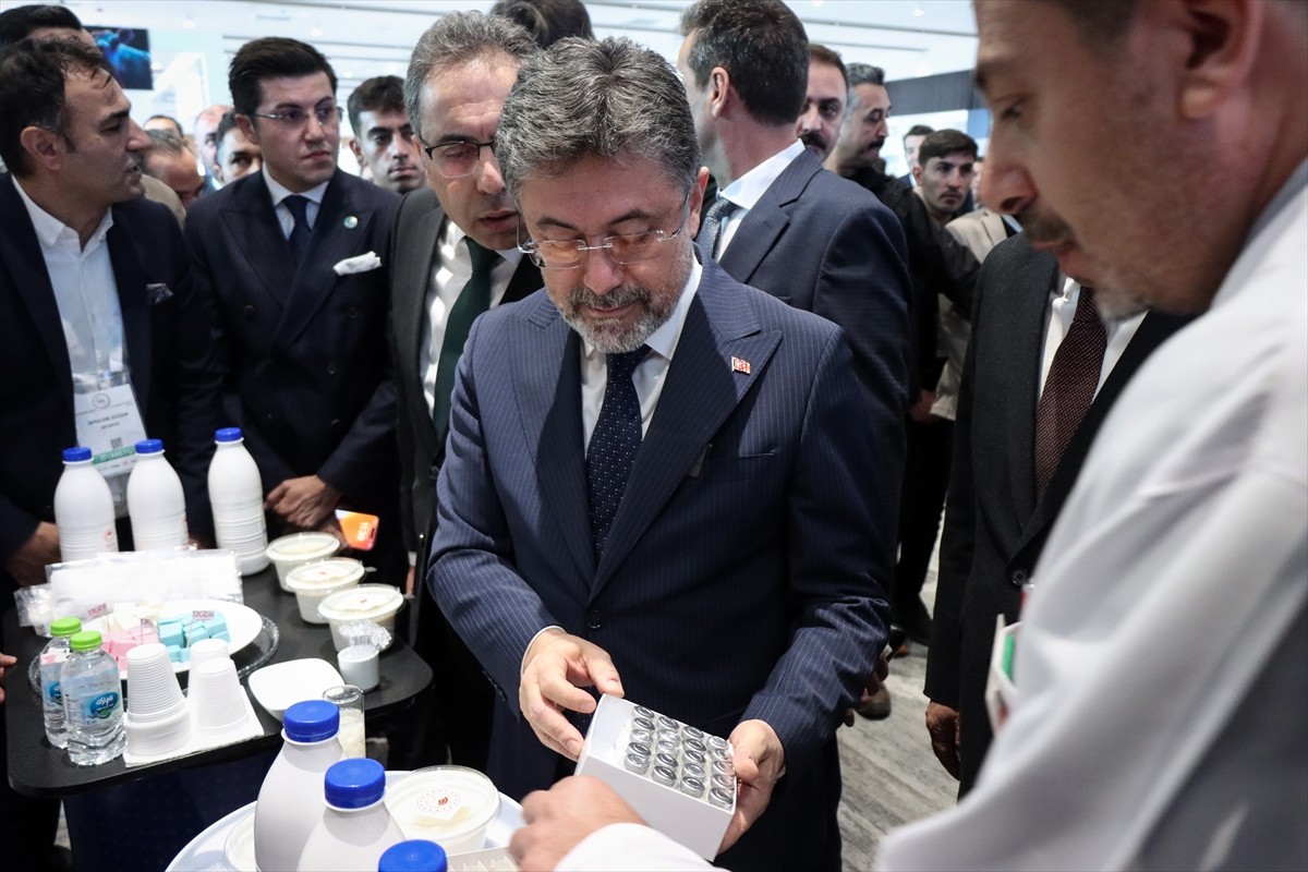 Tüm Süt, Et ve Damızlık Sığır Yetiştiricileri Derneğince (TÜSEDAD) Bursa'nın Orhangazi ilçesindeki...