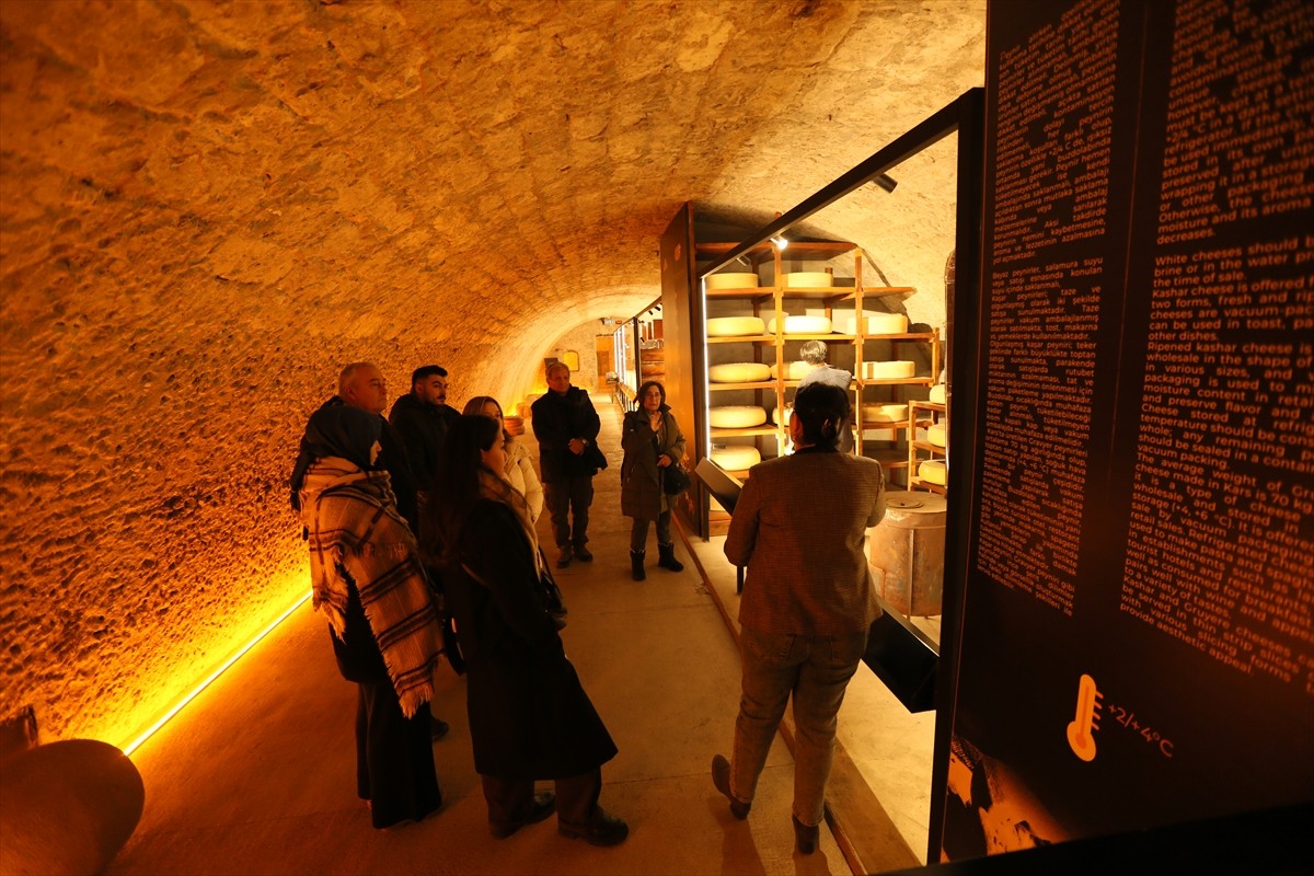 Yayladaki yaşamdan gravyer başta olmak üzere çeşit çeşit peynirin üretimine kadar her aşamanın yer...