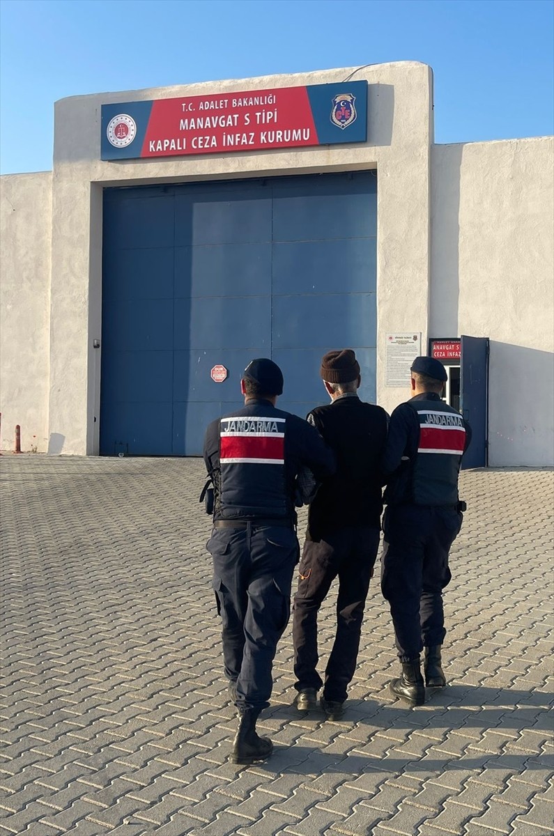 Antalya'nın Akseki ilçesinde 3 köpeğin saldırdığı 85 yaşındaki Havva Özen'in ölümüyle ilgili...