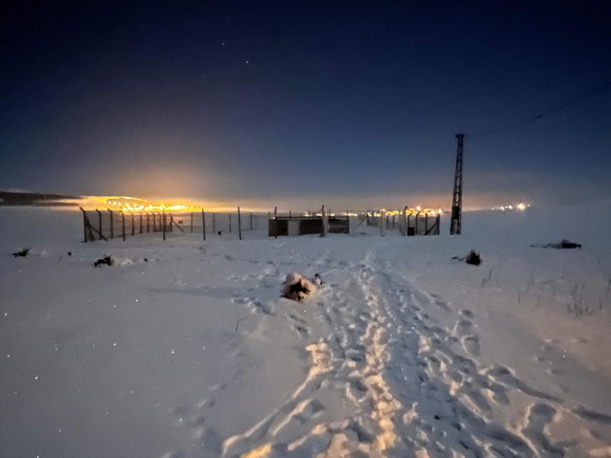Ardahan İl Jandarma Komutanlığına bağlı komandoların, karlı ve soğuk havada yürüttüğü...