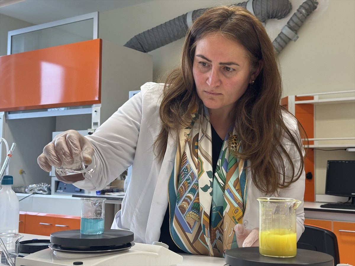 Çankırı Karatekin Üniversitesi (ÇAKÜ) ve Kırşehir Ahi Evran Üniversitesinden (KAEÜ) akademisyenler...