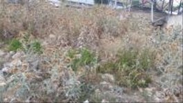 Doğayla İç İçe Yaşamak İsteyenlere Fırsat: 16.500 TL’lik Ev Yap Otur İhalesi!