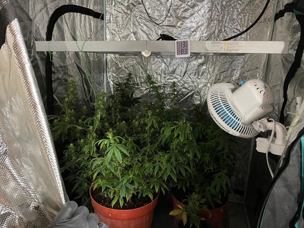 İzmir'in Çeşme ve Seferihisar ilçelerinde uyuşturucu ticareti yaptıkları iddiasıyla gözaltına...