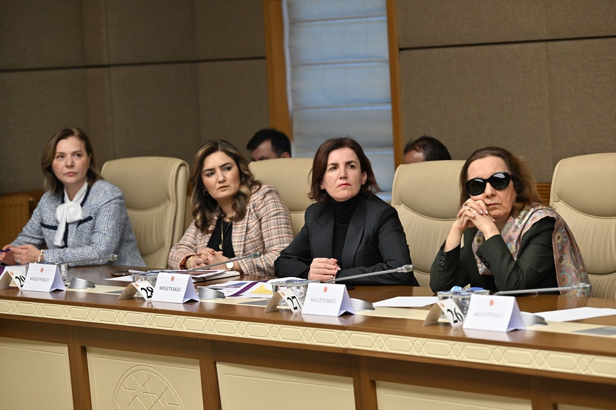 Kadına Karşı Şiddet ve Ayrımcılığın Önlenmesine Yönelik Meclis Araştırma Komisyonu akademisyenleri...