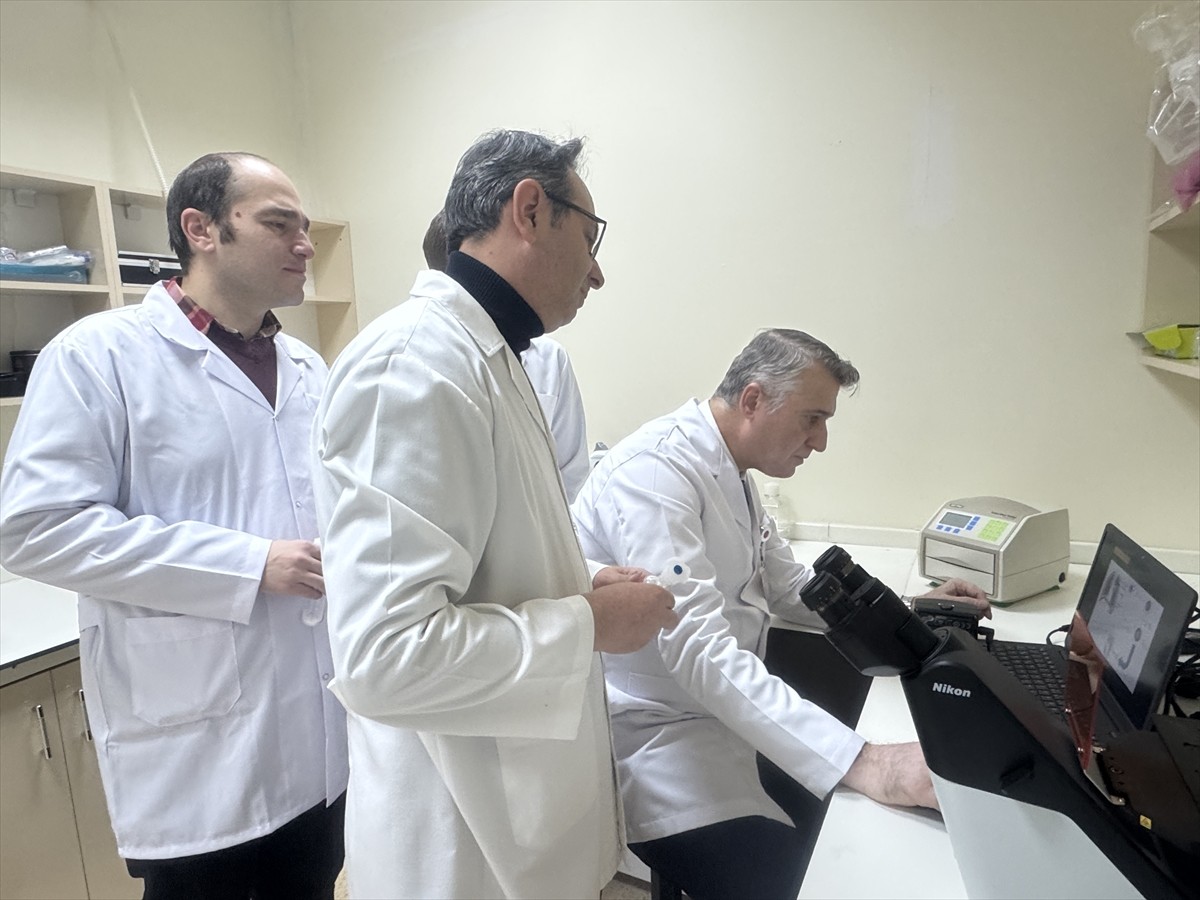 Malatya'da iki üniversiteden 6 bilim insanı, akciğer zarı iltihapları ile akciğerde sıvı...