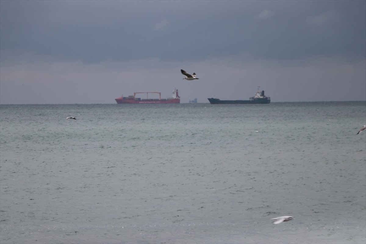 Marmara Denizi'nde 3 gündür etkili olan poyraz, Tekirdağ'da deniz ulaşımında aksamalara neden...