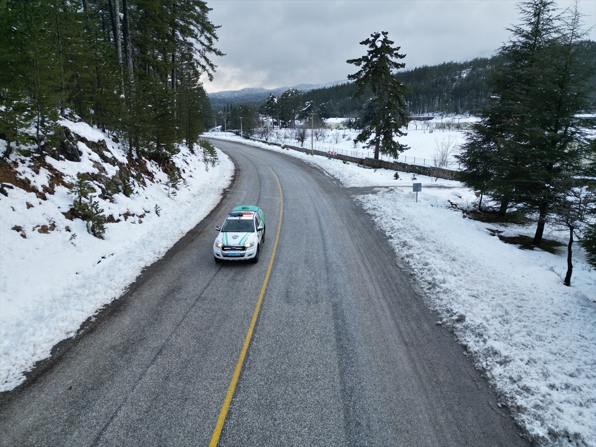 Muğla'da, olumsuz hava koşulları nedeniyle yiyecek bulmakta güçlük çeken yaban hayvanları için...