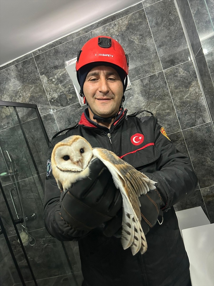Ordu'nun Ünye ilçesinde bir evin banyosuna giren baykuş, itfaiye ekiplerince çıkarıldı.