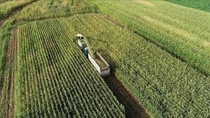 Tarımda Dev Destek! 2025 İçin Yeni Müjdeler Açıklandı