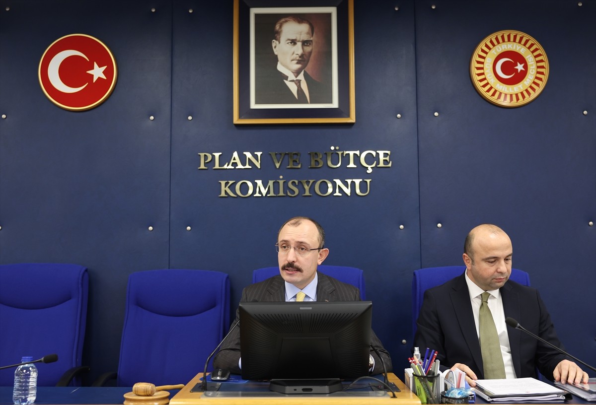TBMM Plan ve Bütçe Komisyonunda, Türkiye Varlık Fonu Yönetim Anonim Şirketi ile Türkiye Varlık...