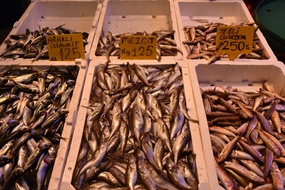Trabzon'da balıkçı tezgahlarında hamsinin kilogramı 150 ile 200 lira arasında satılıyor.