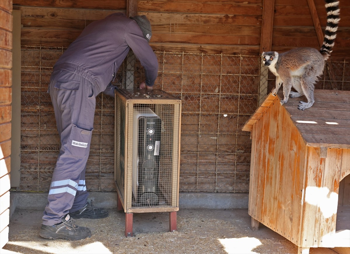 Antalya Büyükşehir Belediyesi Doğal Yaşam Parkı'ndaki hassas türleri soğuktan korumak için...