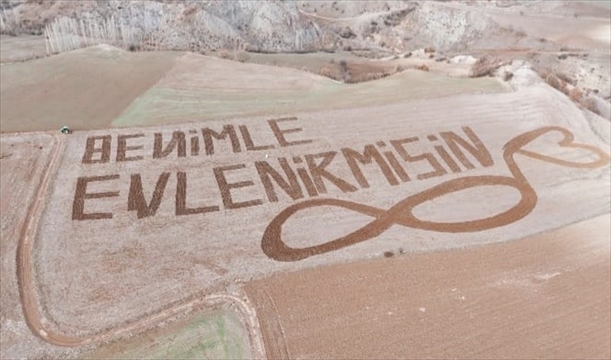 Çorum'un İskilip ilçesinde bir çiftçi tarlasını traktörüyle "Benimle evlenir misin” yazacak...