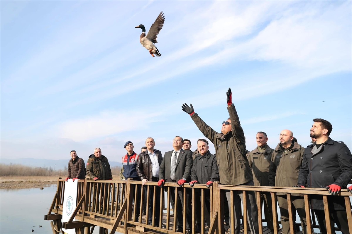 Düzce'nin Gölyaka ilçesinde yer alan ve 22 türden 2 bin 111 kuşun kayıt altına alındığı Efteni...