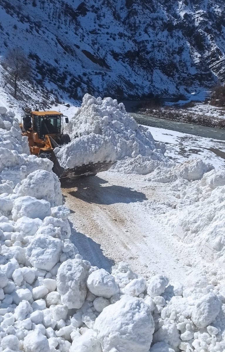 Hakkari'de çığ düşmesi sonucu kapanan yol ulaşıma açıldı. 