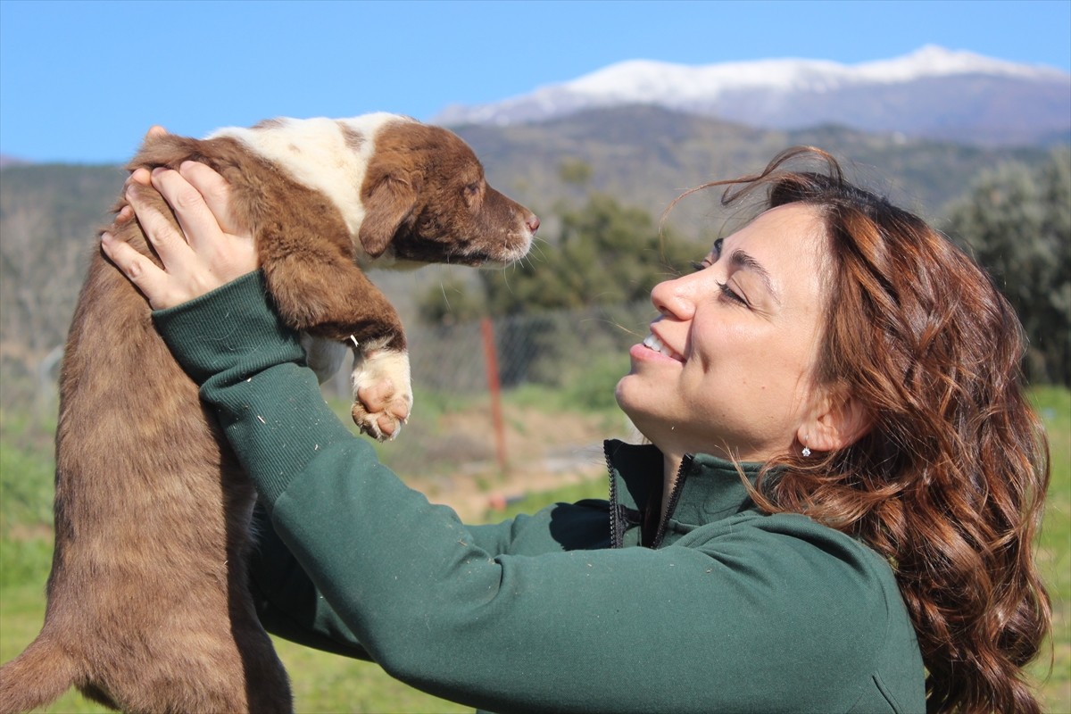 Hollanda'nın Den Bosch kentinde sahipsiz hayvanlarla ilgili dernek kurup çalışmalar yapan cerrah...