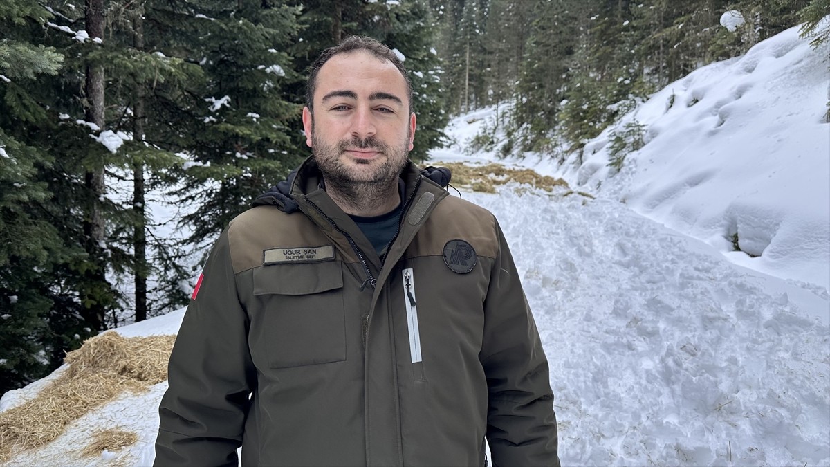 Kastamonu'da, yaban hayvanlarının ağır kış şartlarında yiyecek bulmakta sıkıntı yaşamaması için...