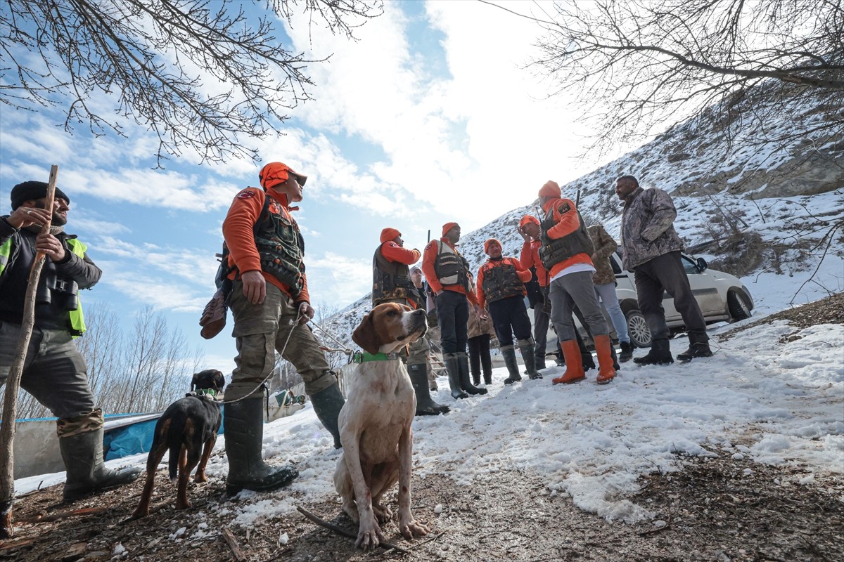 Malatya'nın Darende ilçesinde, yaban domuzlarına yönelik sürek avı yapıldı. Doğa Koruma ve Milli...