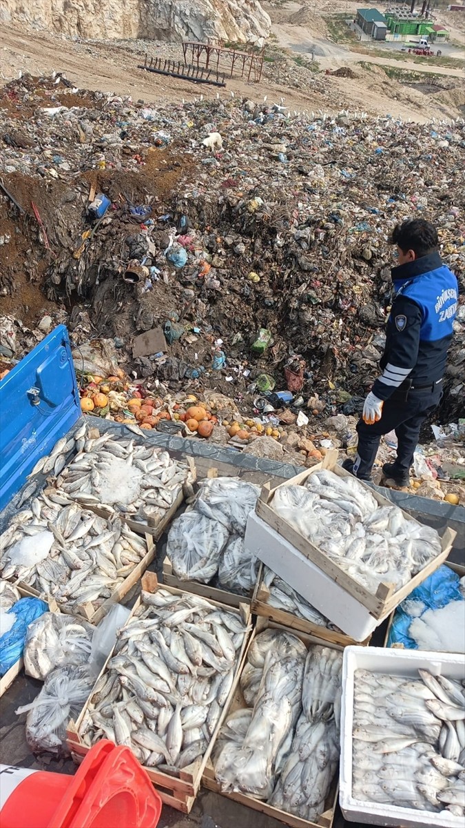 Mersin'in Tarsus ilçesinde sağlıksız oldukları belirlenen 16 kasa balık imha edildi.