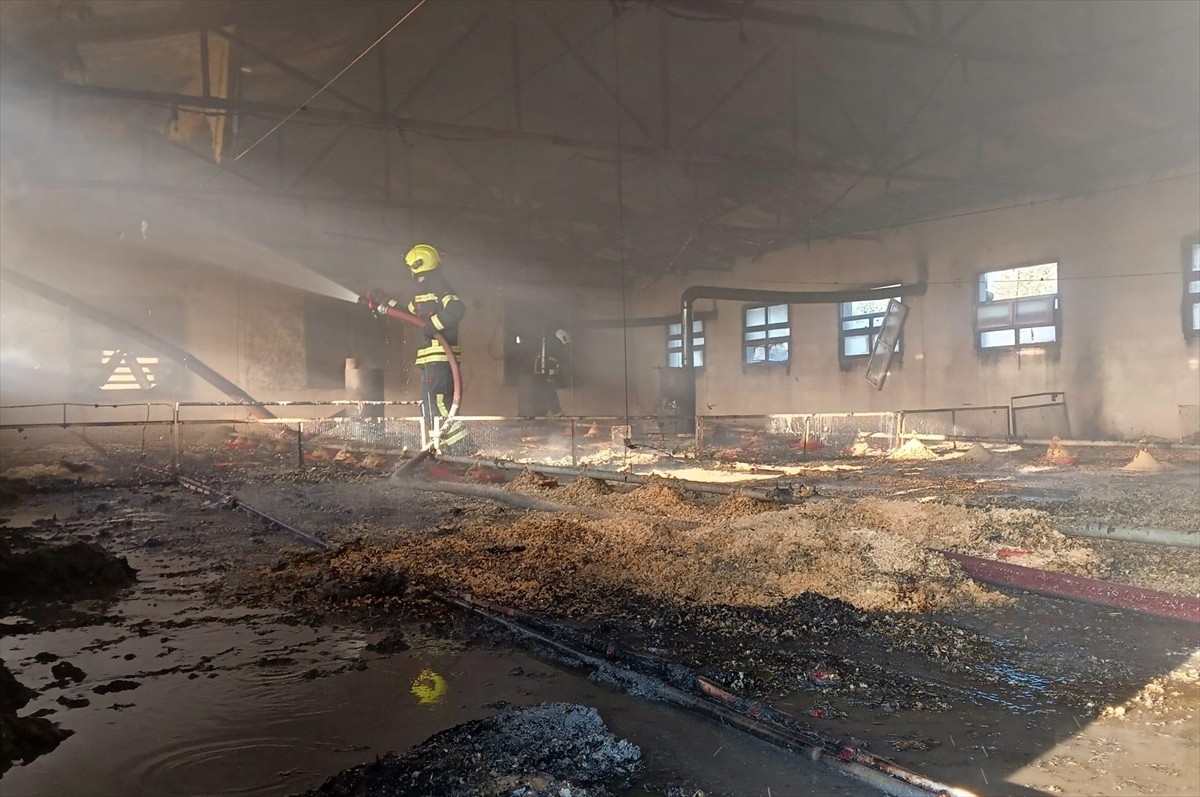 Mersin'in Tarsus ilçesinde tavuk çiftliğinde çıkan yangında 6 bin 800 civciv telef oldu.
