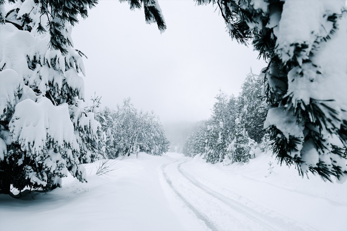  Sakarya'nın Kocaali ve Hendek ilçeleri arasında bulunan 900 rakımlı Çam Dağı'nda karla kaplanan...